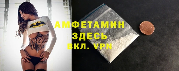 шишки Гусев