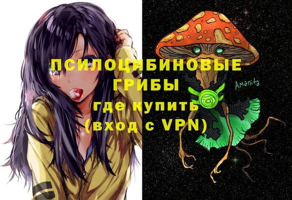 гашик Гусь-Хрустальный