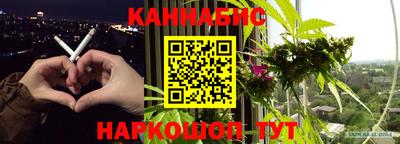 гашик Жуковский
