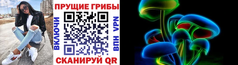 Псилоцибиновые грибы ЛСД Новошахтинск