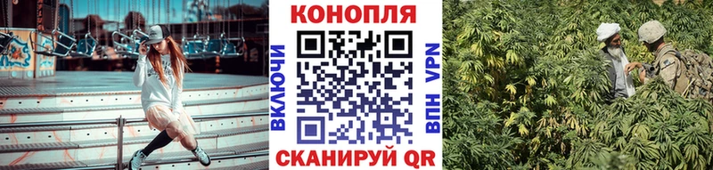 купить сайты Новошахтинск Конопля гибрид